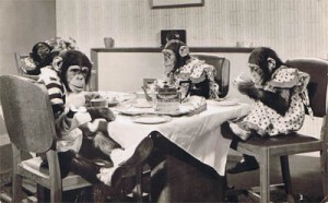 chimp-tea