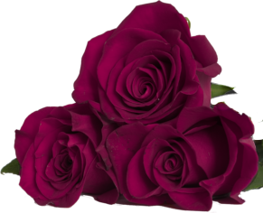 flowers-right